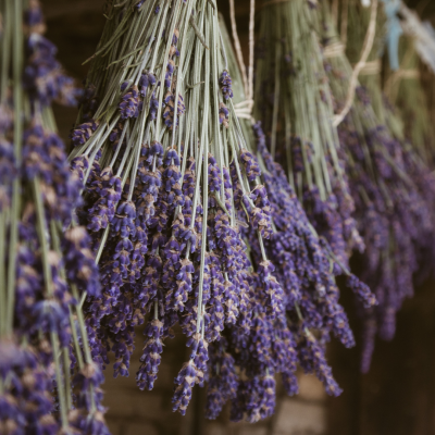 Pourquoi offrir des fleurs séchées est tendance en 2025 ?