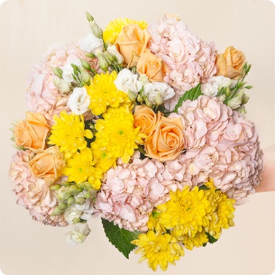 DÉCOUVRIR DÉCOUVRIR