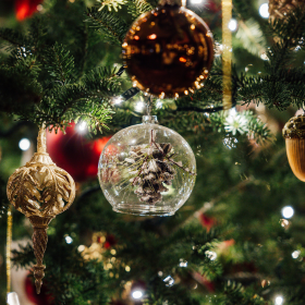 Décoration de sapin de Noël avec des boules dorées et transparentes, créant une atmosphère féerique et raffinée pour les fêtes. sapin-noel-boules-dorees-transparente