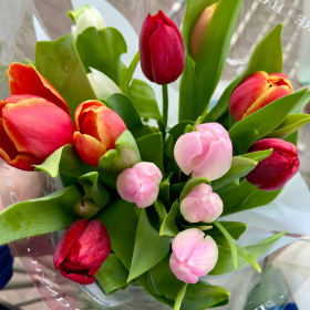 Photos_Blog_2 (280&nbsp;&times;&nbsp;280&nbsp;px) (30)