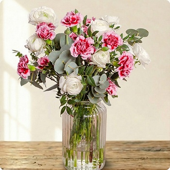 DÉCOUVRIR DÉCOUVRIR