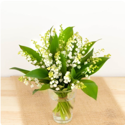 DÉCOUVRIR DÉCOUVRIR