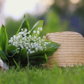 Muguet sur l'herbe Muguet sur l'herbe