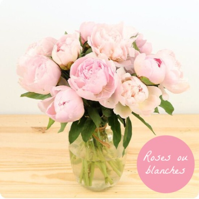 DÉCOUVRIR DÉCOUVRIR