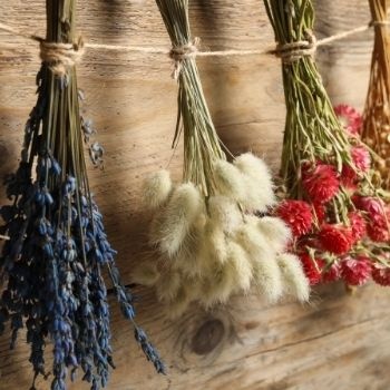 sechage-fleurs-air-libre-350x350 sechage-fleurs-air-libre-350x350