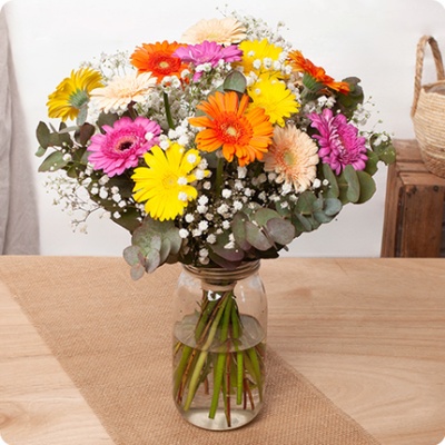 DÉCOUVRIR DÉCOUVRIR