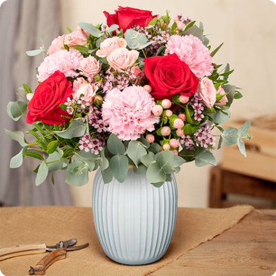 DÉCOUVRIR DÉCOUVRIR