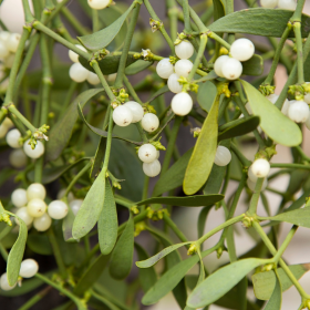 Photos_Blog_2 (280&nbsp;&times;&nbsp;280&nbsp;px) (18)