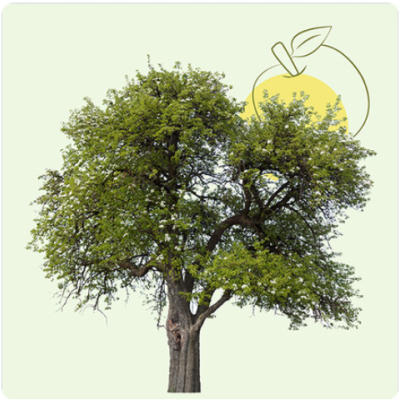 DÉCOUVRIR DÉCOUVRIR