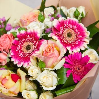 gerbera-fete-des-meres-350x350 (1) gerbera-fete-des-meres-350x350 (1)