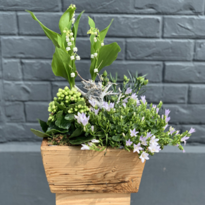 DÉCOUVRIR DÉCOUVRIR