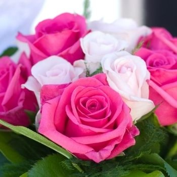 symbolique-couleurs-roses-350x350 symbolique-couleurs-roses-350x350