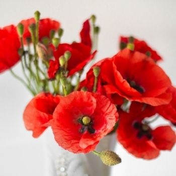 Offrir des coquelicots : quelles significations