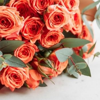 signification-roses-orange-350x350