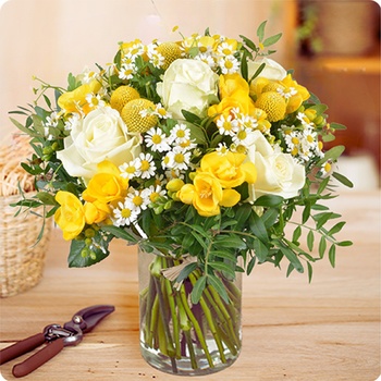 DÉCOUVRIR DÉCOUVRIR