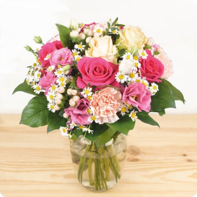 DÉCOUVRIR DÉCOUVRIR