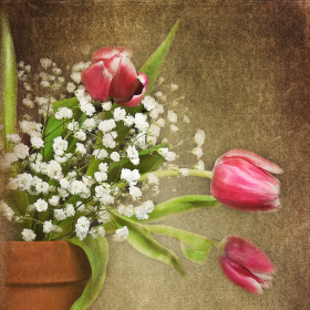 bouquet-tulipes-romantique-vintage