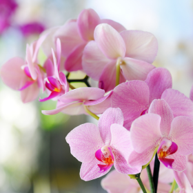 Photos_Blog_2 (280 × 280 px) (31) Photos_Blog_2 (280 × 280 px) (31)