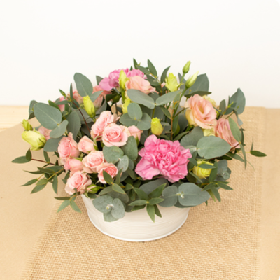 DÉCOUVRIR DÉCOUVRIR