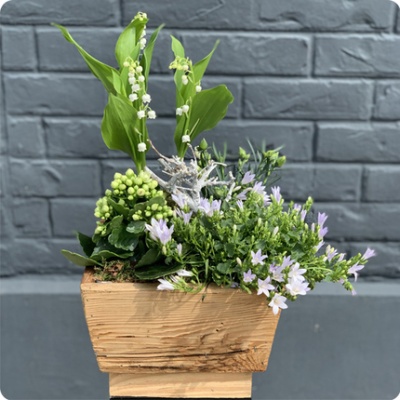 DÉCOUVRIR DÉCOUVRIR