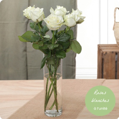 DÉCOUVRIR DÉCOUVRIR