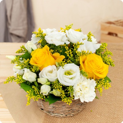 DÉCOUVRIR DÉCOUVRIR