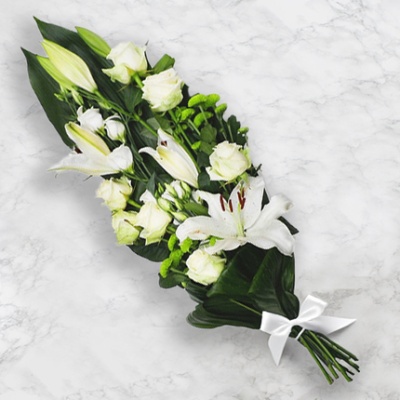 DÉCOUVRIR DÉCOUVRIR