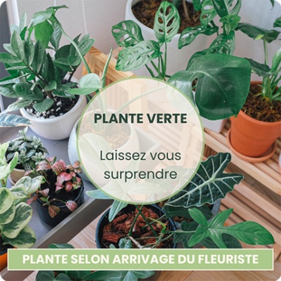 DÉCOUVRIR