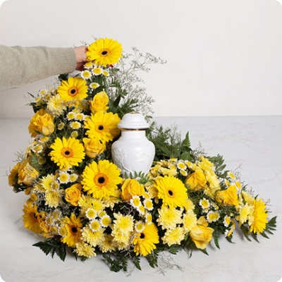 DÉCOUVRIR DÉCOUVRIR