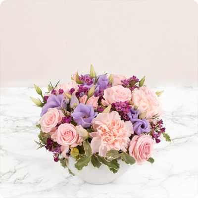 DÉCOUVRIR DÉCOUVRIR