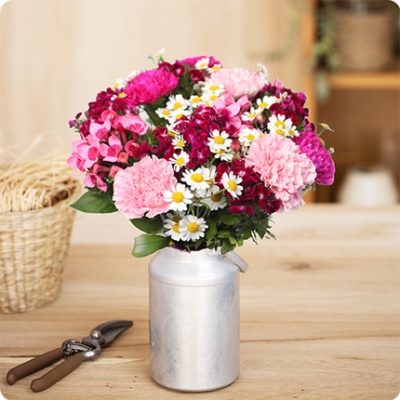 DÉCOUVRIR DÉCOUVRIR