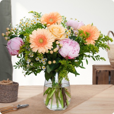 DÉCOUVRIR DÉCOUVRIR