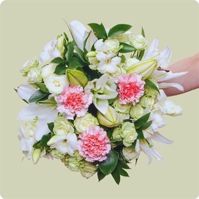 DÉCOUVRIR DÉCOUVRIR