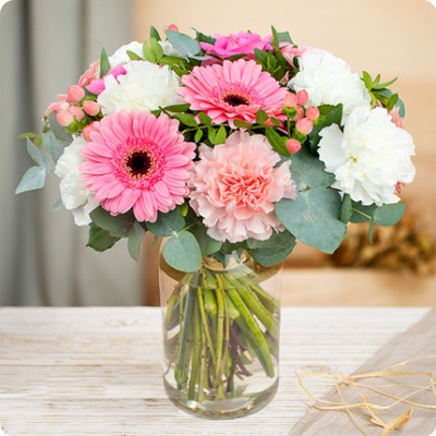 DÉCOUVRIR DÉCOUVRIR