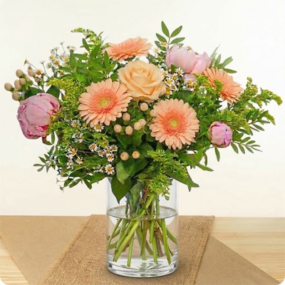 DÉCOUVRIR DÉCOUVRIR