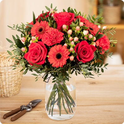 DÉCOUVRIR DÉCOUVRIR