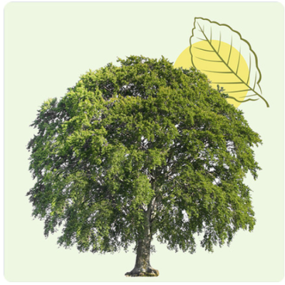 DÉCOUVRIR DÉCOUVRIR