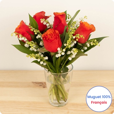 DÉCOUVRIR DÉCOUVRIR