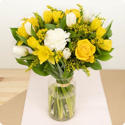 DÉCOUVRIR DÉCOUVRIR