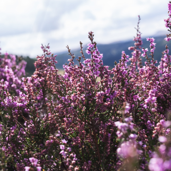 Photos_Blog (1) Photos_Blog (1)