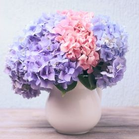 Pourquoi offrir un bouquet avec des fleurs d’été ?