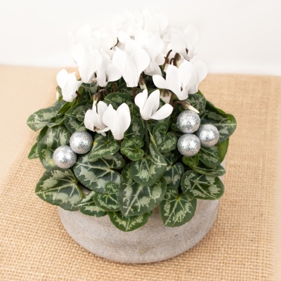 DÉCOUVRIR DÉCOUVRIR