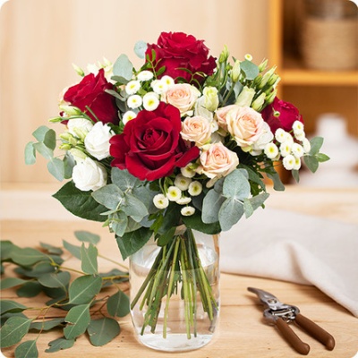 DÉCOUVRIR DÉCOUVRIR