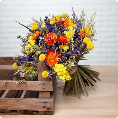 DÉCOUVRIR DÉCOUVRIR