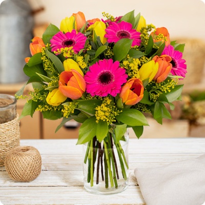 DÉCOUVRIR DÉCOUVRIR