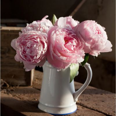 Captureroses Captureroses