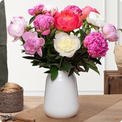 DÉCOUVRIR DÉCOUVRIR