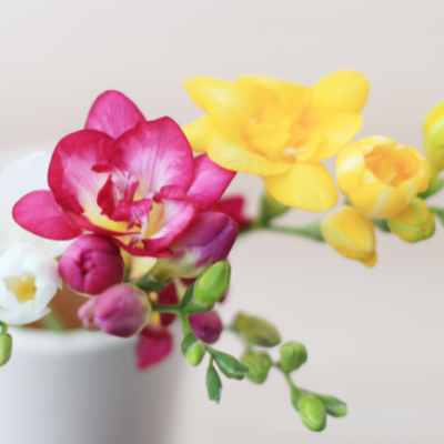 bouquet-freesias-roses-jaunes-printemps