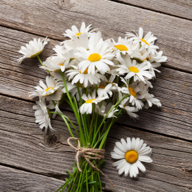 Photos_Blog_2 (280&nbsp;&times;&nbsp;280&nbsp;px) (32)