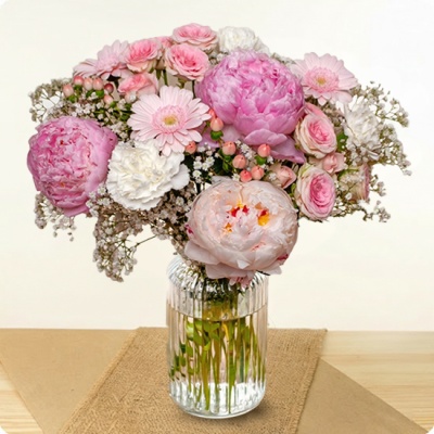 DÉCOUVRIR DÉCOUVRIR